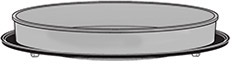 Convection Baking