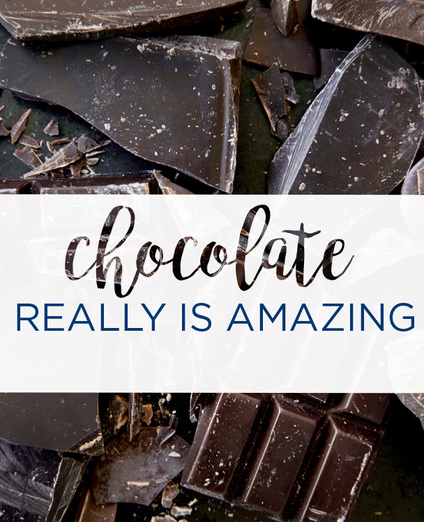 Understanding the Fundamentals of Chocolate