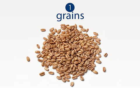 Grains — farro, barley, brown rice and black rice 